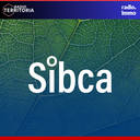 Emission Spéciale SIBCA 2025