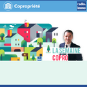 Le décret de 67 en condensé - Section 3 : le conseil syndical - SITE INTERNET :
angc-association.fr Le décret de 67 en condensé - Section 3 : le conseil syndical