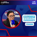 Stéphanie BLUCHE, ODEALIM