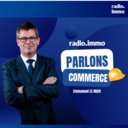 Les réponses politiques aux problèmes générés par les plateformes asiatiques : un enjeu sociétaux au-delà bien au-delà du seul commerce