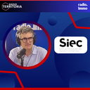 Gautier CHATELUS, DRIVECO