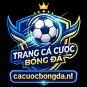 cacuoc bongda - cacuocbongda là điểm đến lý tưởng cho những ai đam mê trò chơi cá cược và game bài. Chúng tôi cung cấp một loạt các trò chơi đa dạng từ cá cược thể thao đến bài online với chất lượng dịch vụ tuyệt hảo. Đặc biệt, cacuocbongda cam kết mang đến cho người chơi những khuyến mãi hấp dẫn, đi kèm với mức thưởng cao nhất trong ngành. Đội ngũ hỗ trợ khách hàng của chúng tôi luôn sẵn sàng 24/7 để đáp ứng mọi nhu cầu của bạn.
Website: https://cacuocbongda.nl/
Email: cacuocbongdanl@gmail.com
SĐT: 0706965169
Địa chỉ: 49/2 Đường số 17, Bình Thạnh, Hồ Chí Minh, Vietnam
Hastag: #cacuocbongda #cacuocbongdanl #naptiencacuocbongda #nhacaicacuocbongda #conggamecacuocbongda
cacuoc bongda