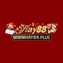 wwwhay88 plus
