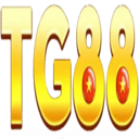 tg88z1 com