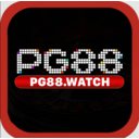 Pg88 watch