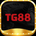 Tg886 co com