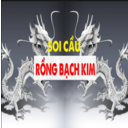 rongbachkim24h org
