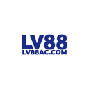 lv88 accom
