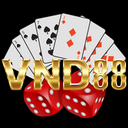 VND 88 88